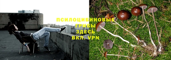 гашишное масло Липки