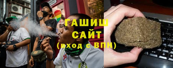 индика Санкт-Петербург