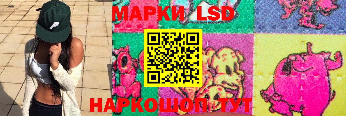 Псилоцибиновые грибы Псков